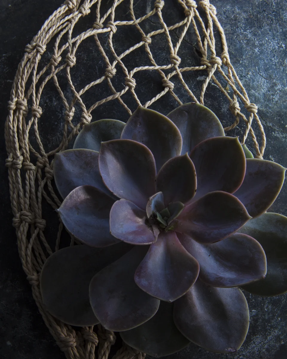 flower-16.jpg