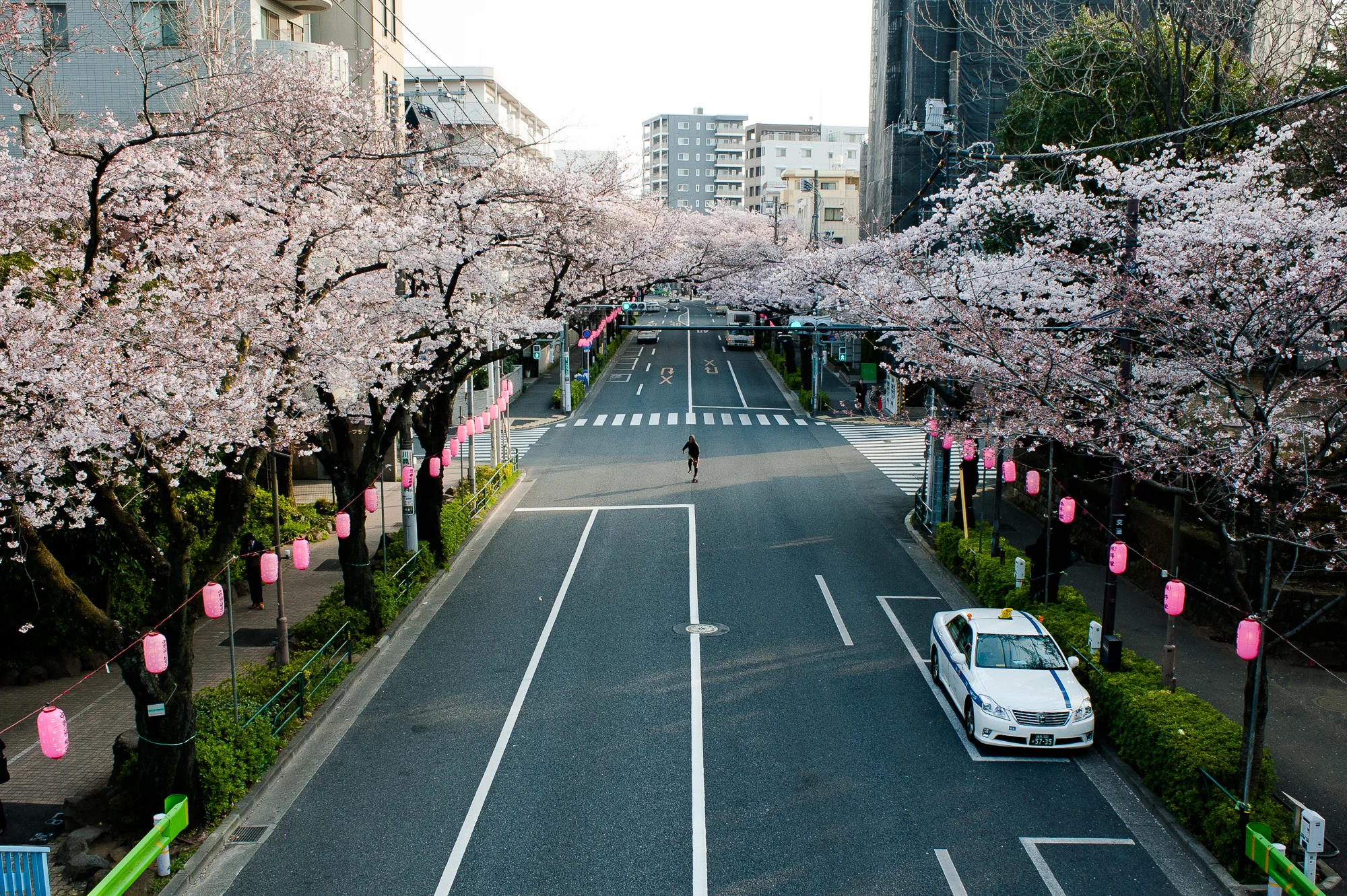 Morita-217.jpg