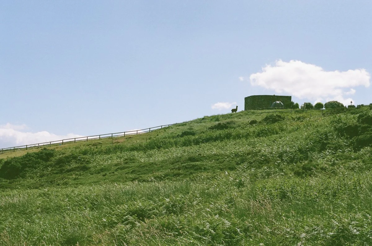Ireland_35mm_20240624_014.jpg