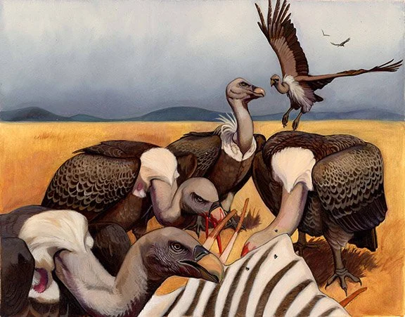 Kest_CreepyCreatures_p10 Vulture  8 and a half x 11, oil on paper.jpg
