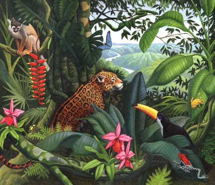 Rainforest