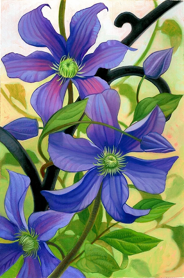 April Clematis
