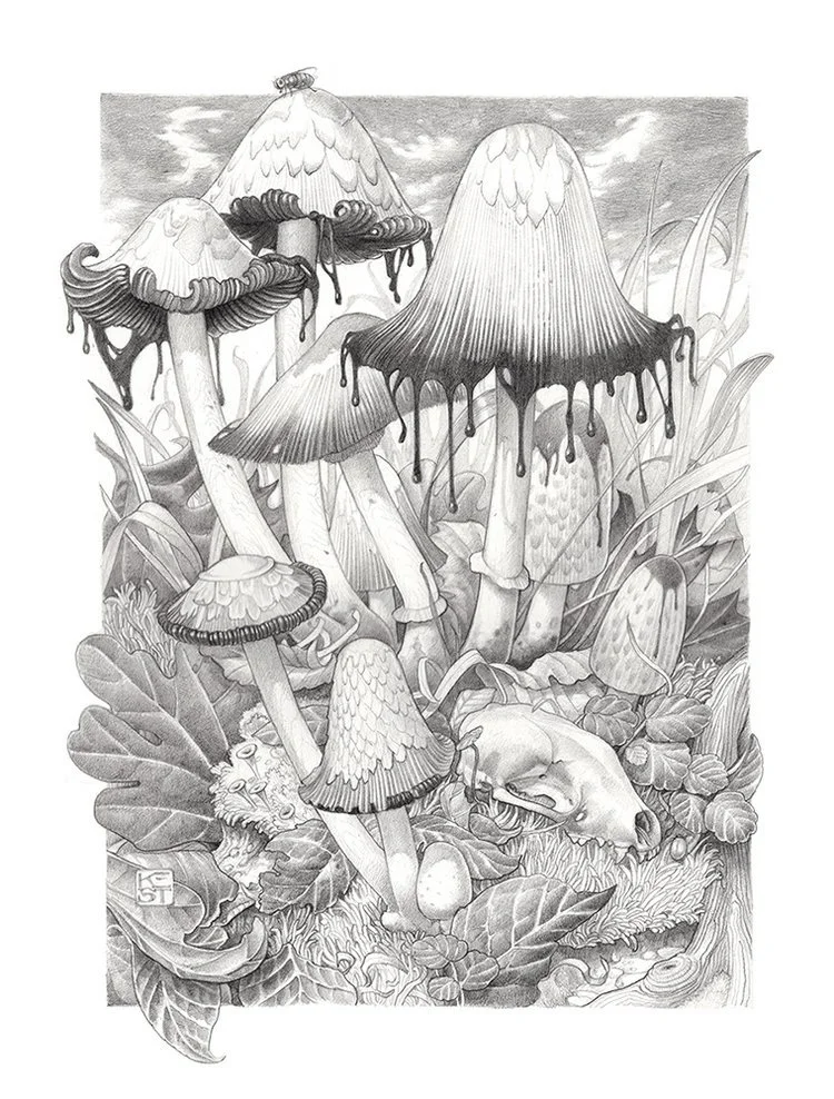 Death to the Dictator