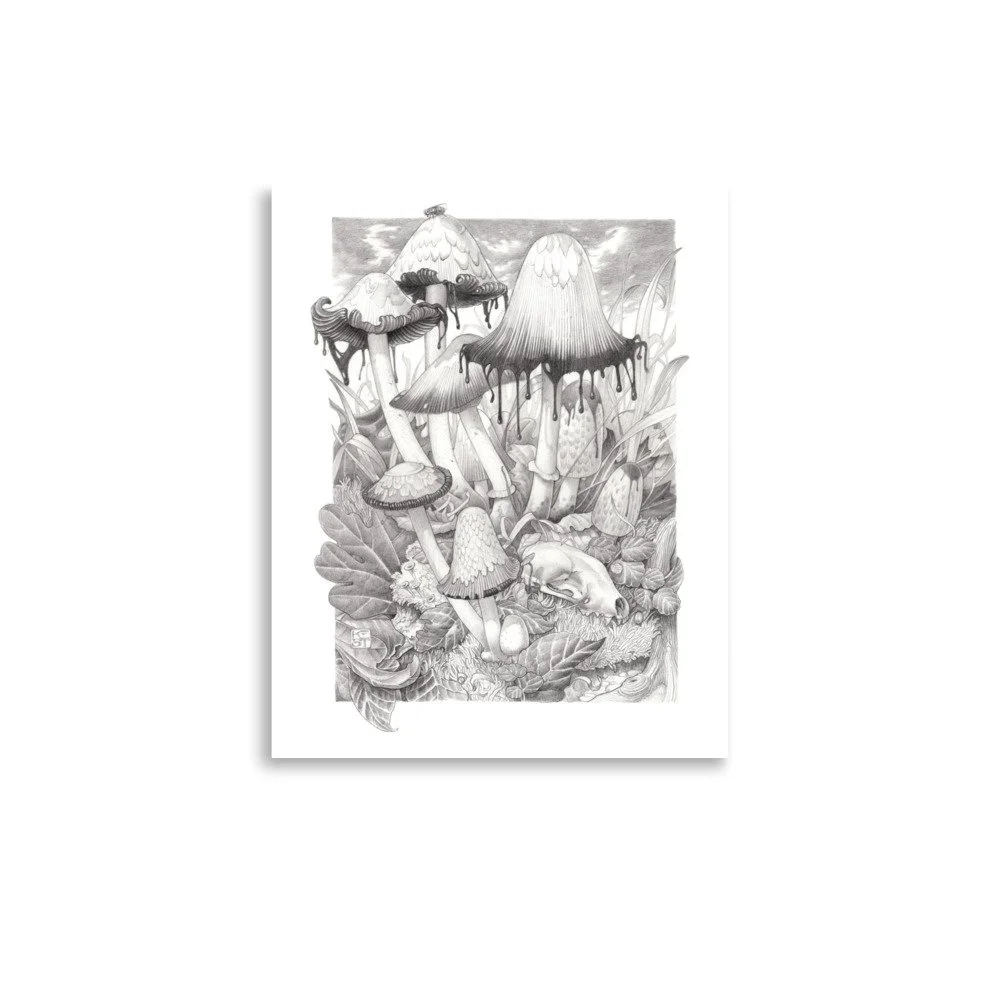 enhanced-matte-paper-poster-(in)-11x14-front-69052f5a3b3d6.jpg
