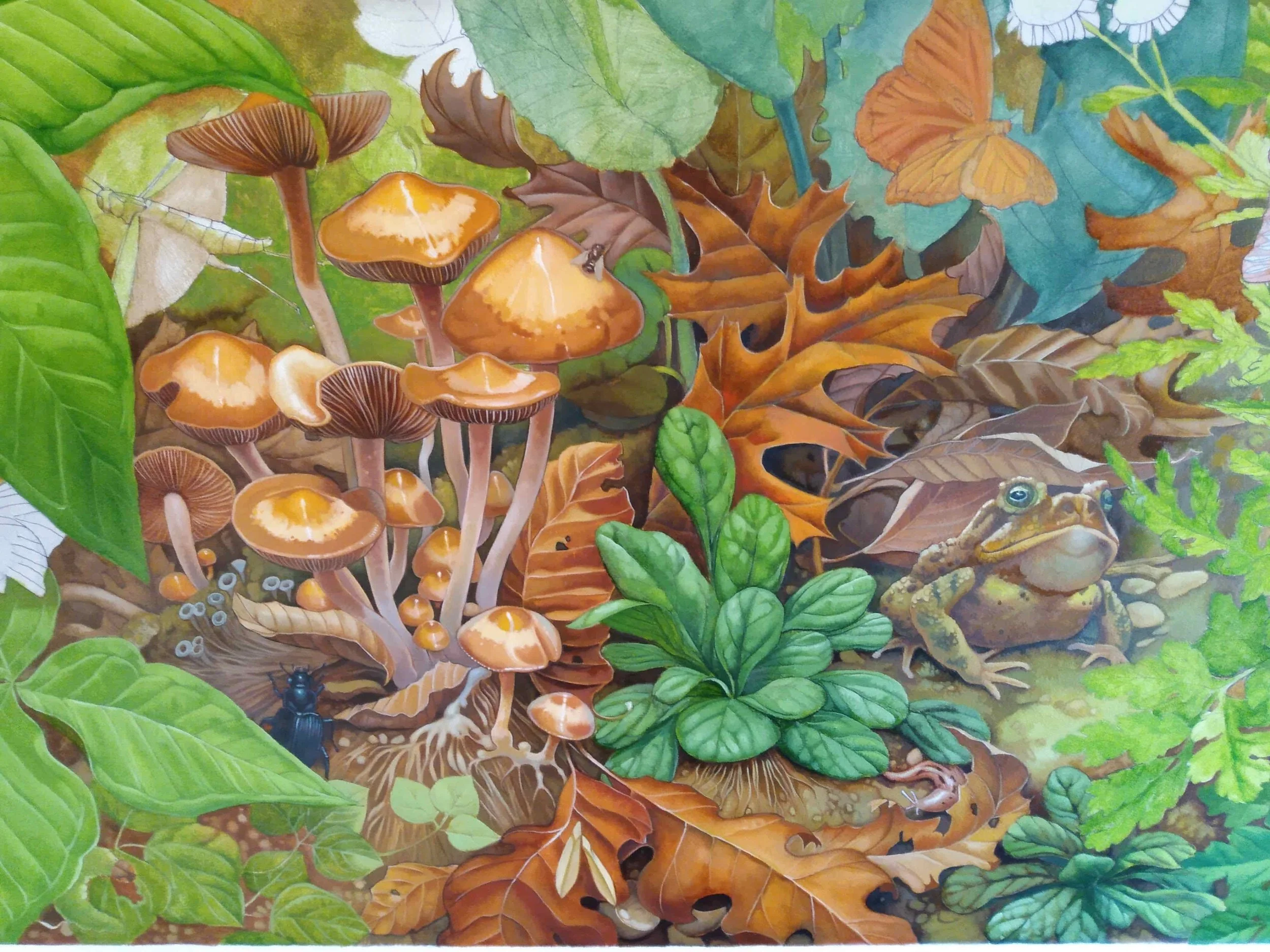 Summer-- a Painting of a Toad chillin on the forest floor.