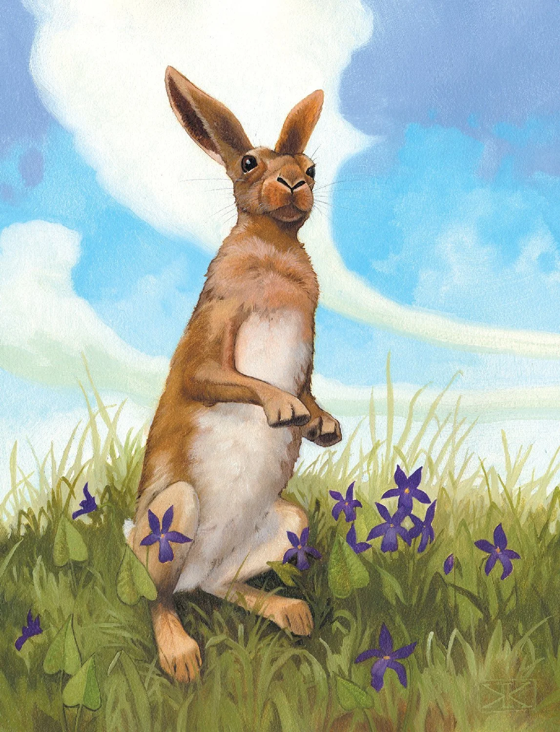 Kest_Rabbit_Picturebook_web.jpg
