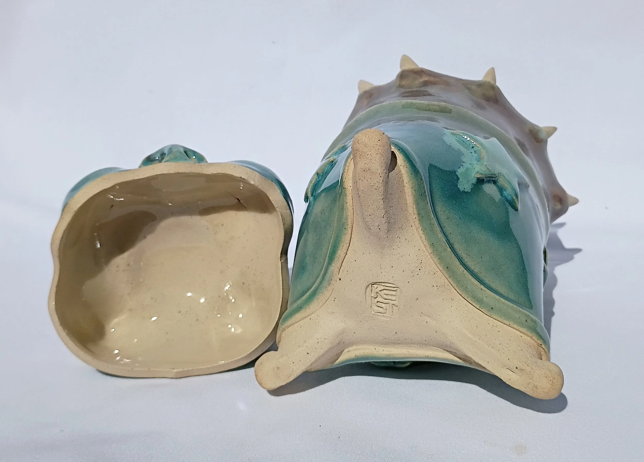 IMG_20260310_135238900 (1).jpg