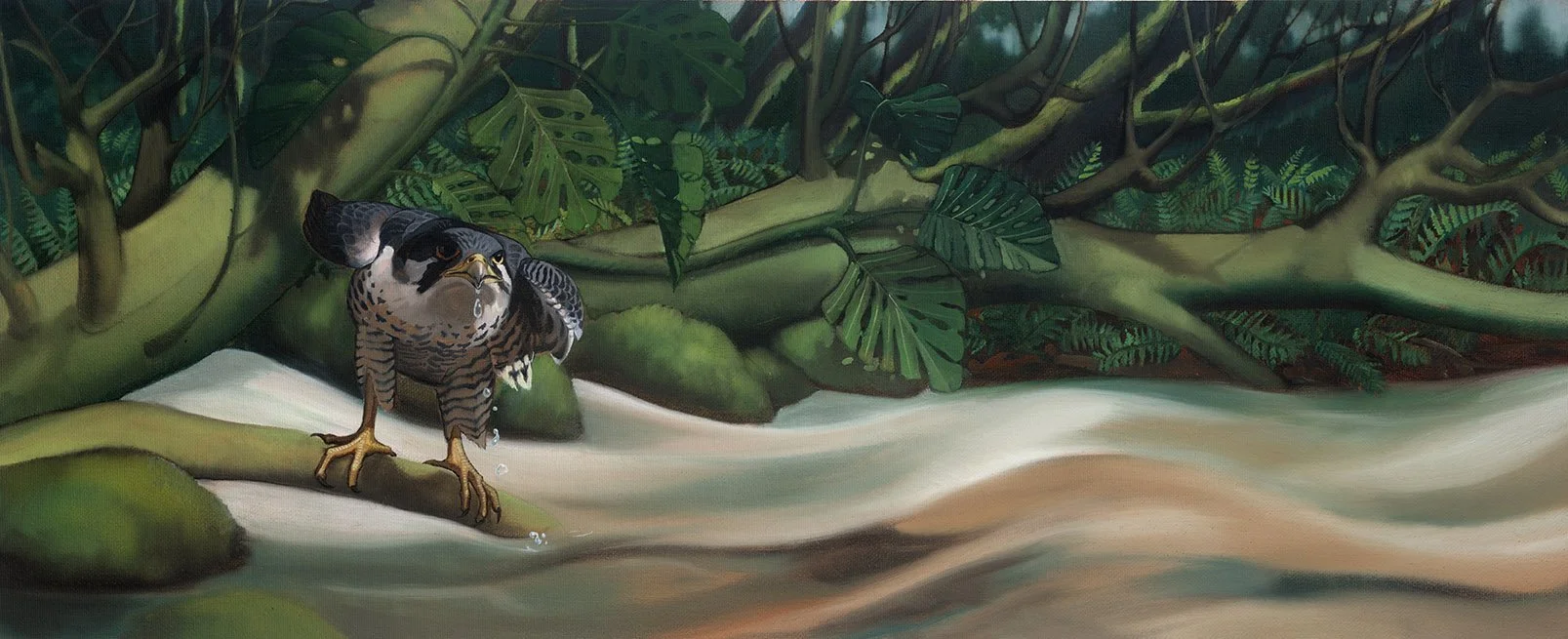 Kest_24-25_PeregrineJourney web.jpg