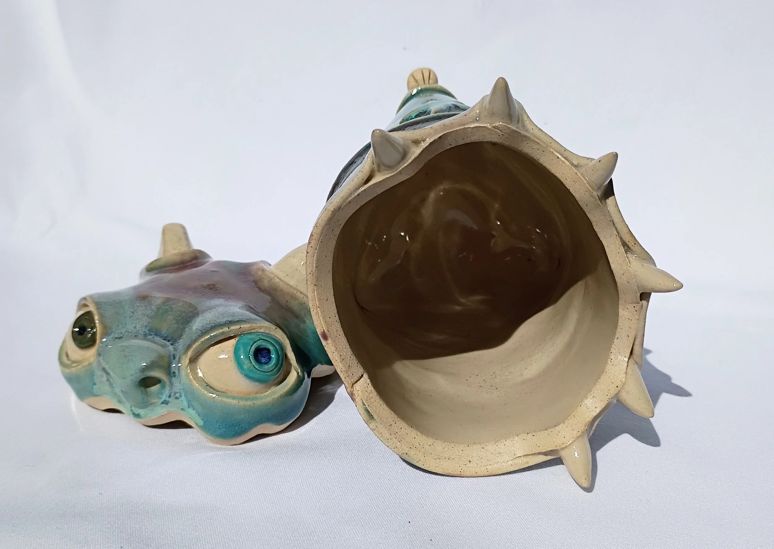 IMG_20260310_135223556 (1).jpg