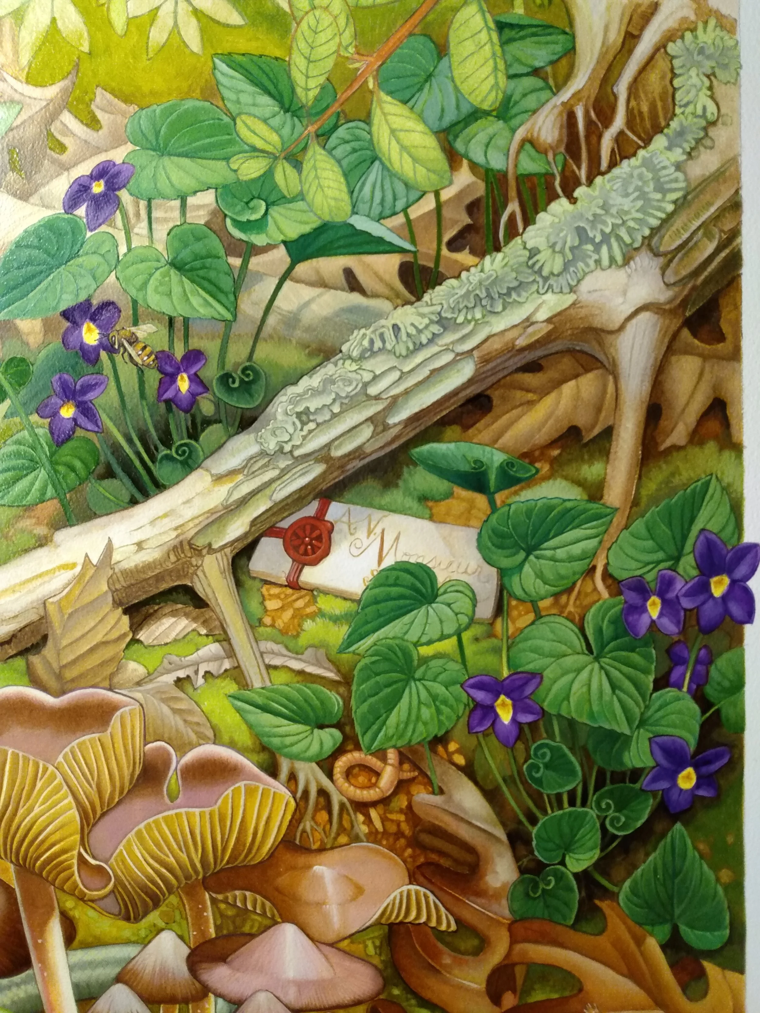 a lost letter amidst the violets