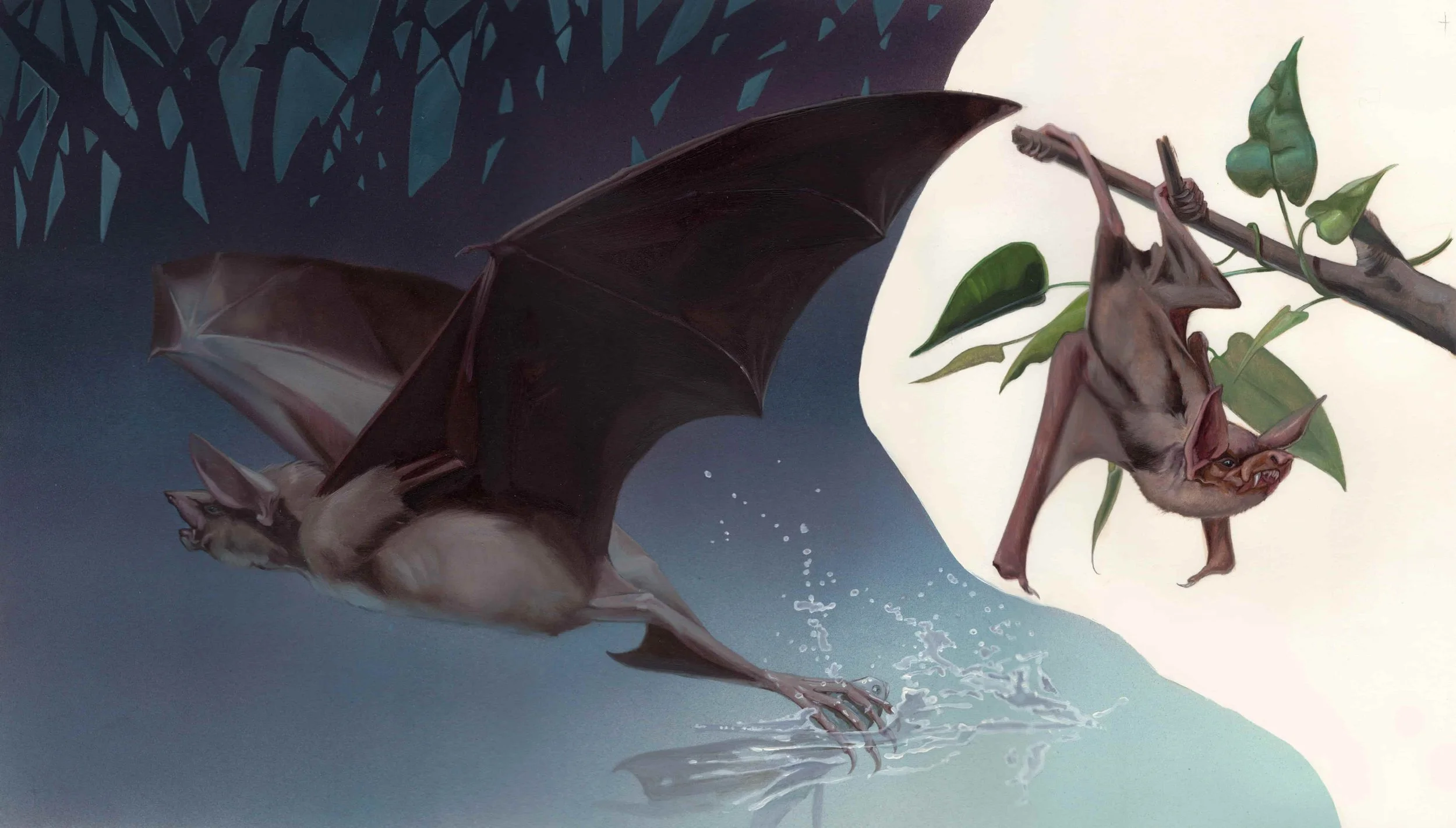 KEST_BATS_p16-17 Walker's (2).jpg