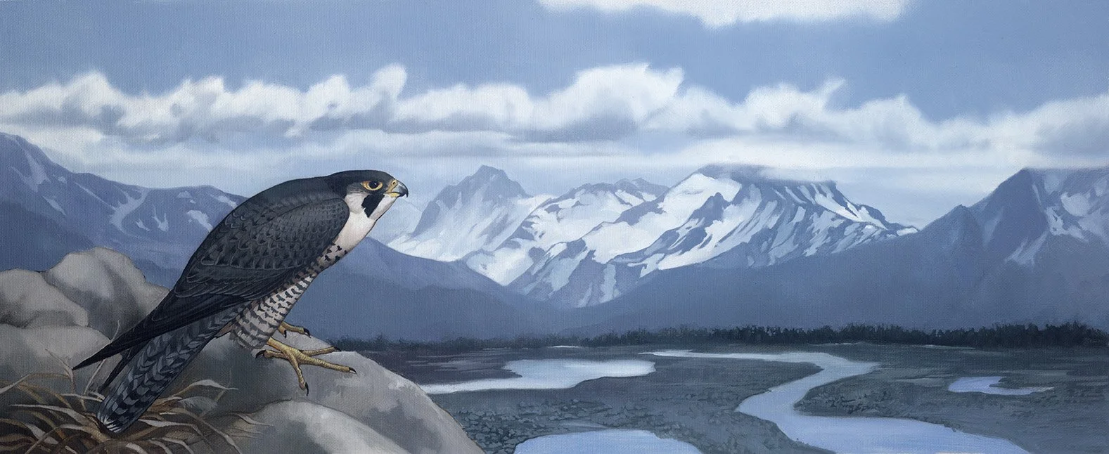 Kest_4-5_PeregrineJourney web.jpg