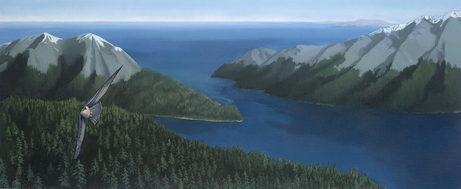 Kest_6-7_PeregrineJourney web.jpg