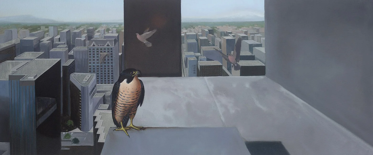 Kest_10-11_PeregrineJourney web.jpg