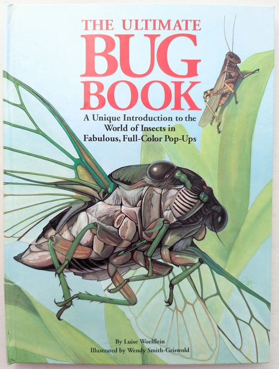 Kest Fine Art — The Ultimate Pop-up Books-- Vintage Covers