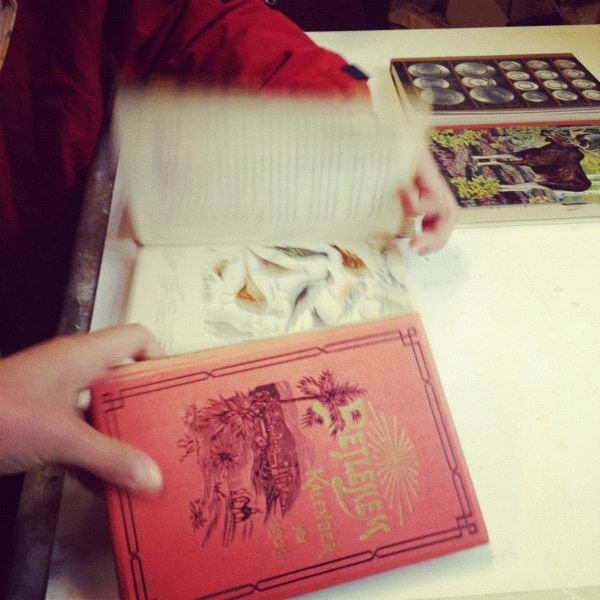 2012-05-14 07.51.29.jpg