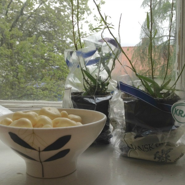 2012-05-17 03.12.31.jpg
