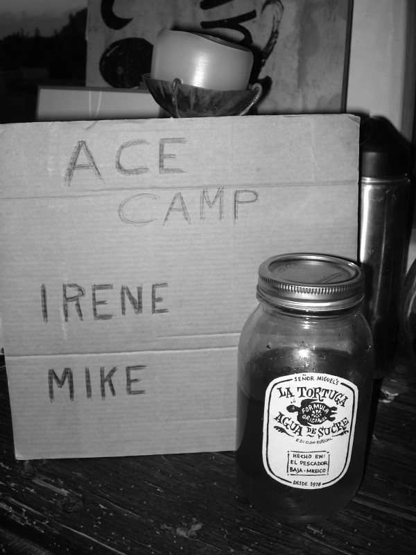 ace camp angela - dn - 8.jpg