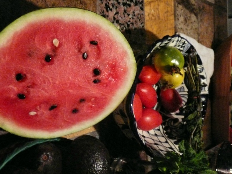 p1060455.jpg