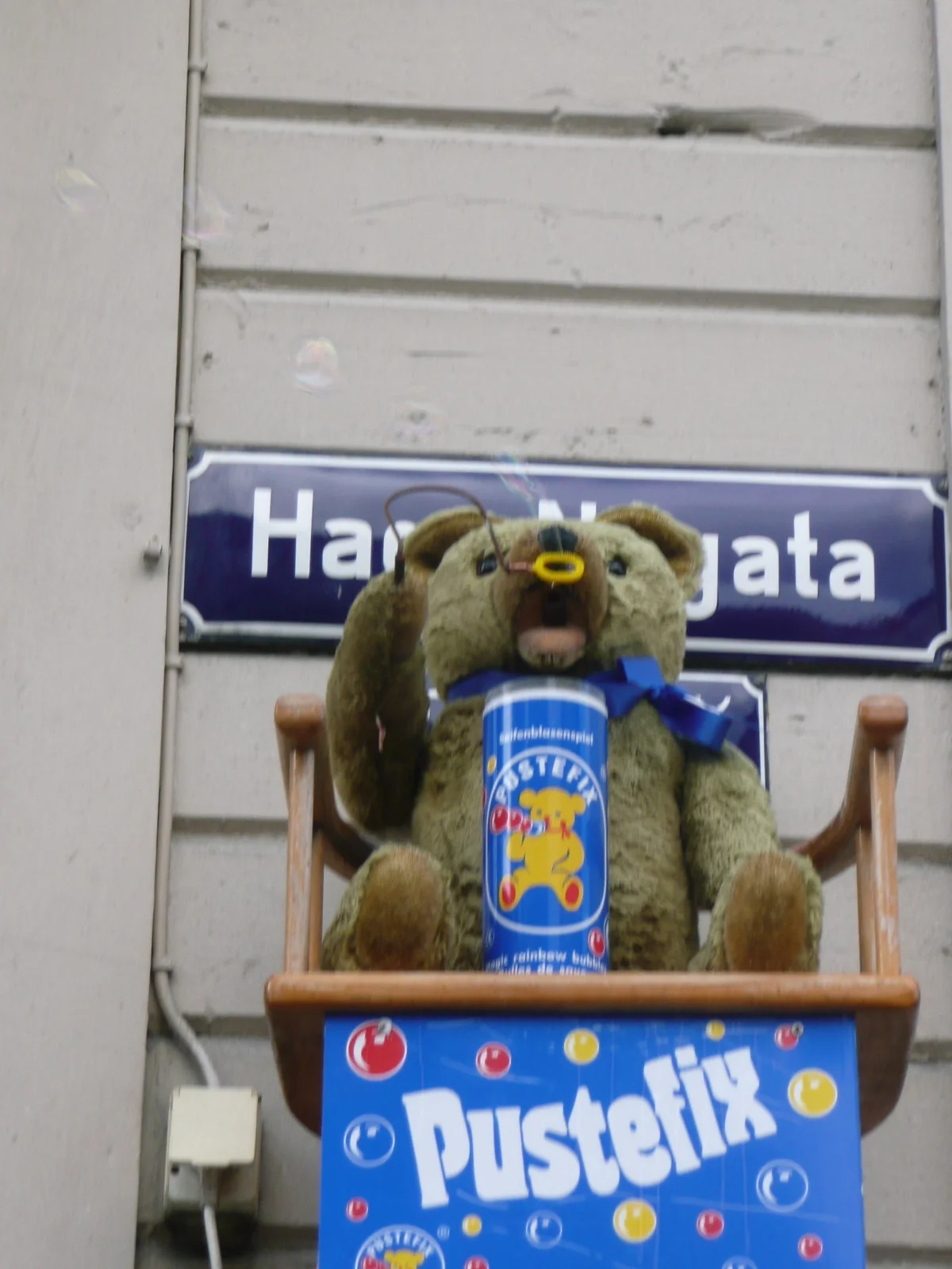 p1030933.jpg
