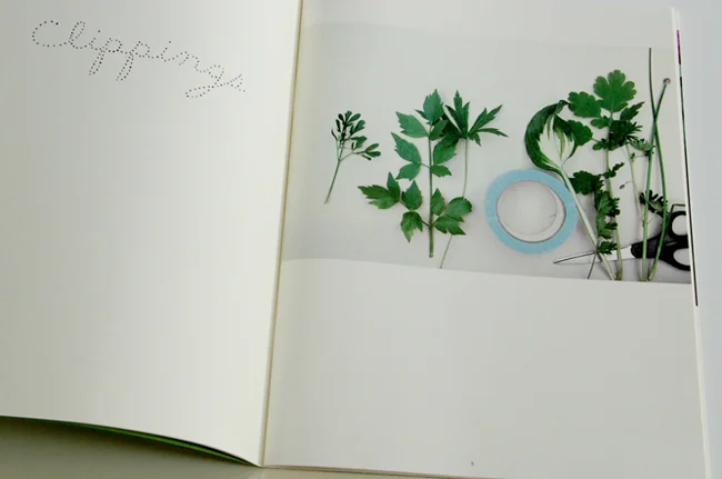 journalof plants - maria.jpg
