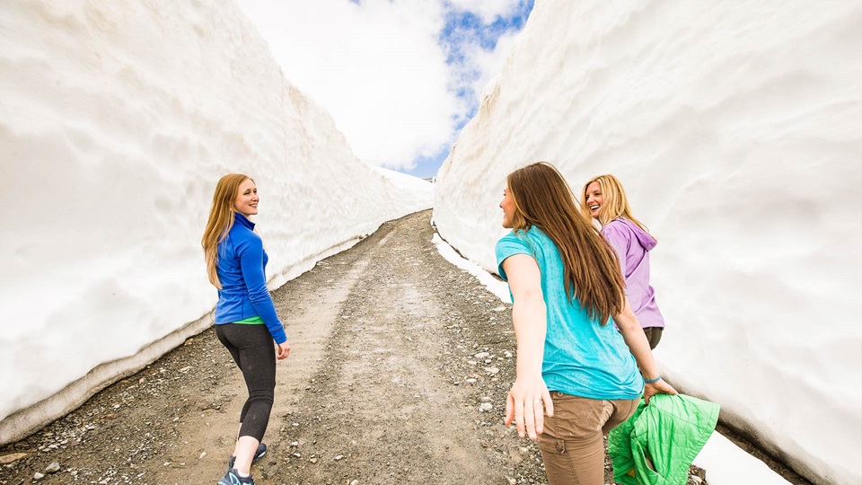 1920SnowWallHero.jpg