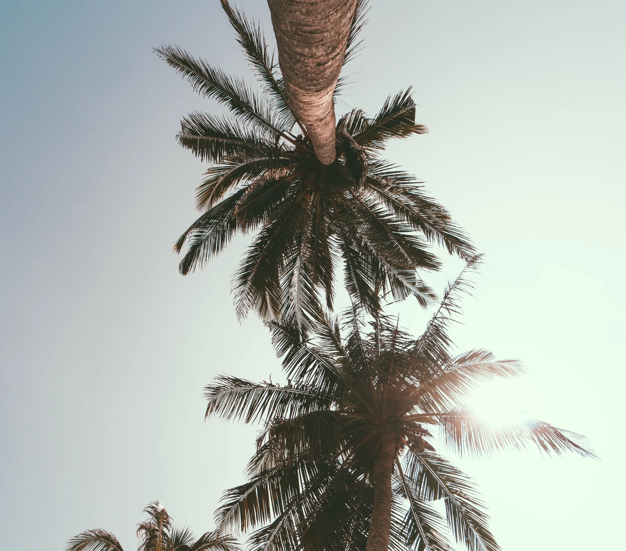 oliver-sjostrom-592438-unsplash.jpg