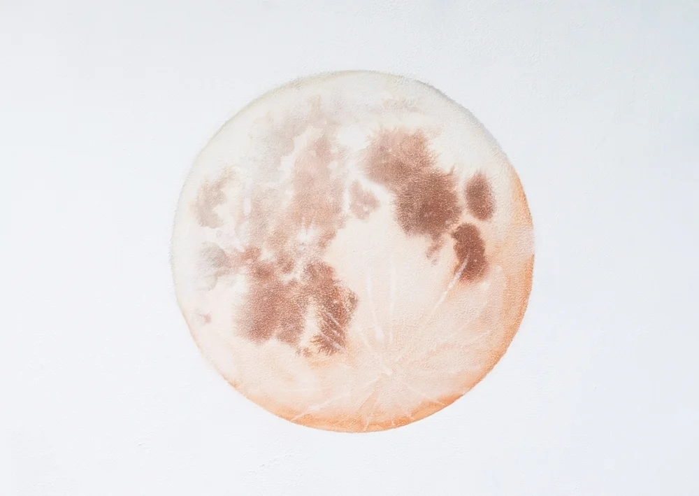 Painting: Stella Maria Baer @stellamariabaer