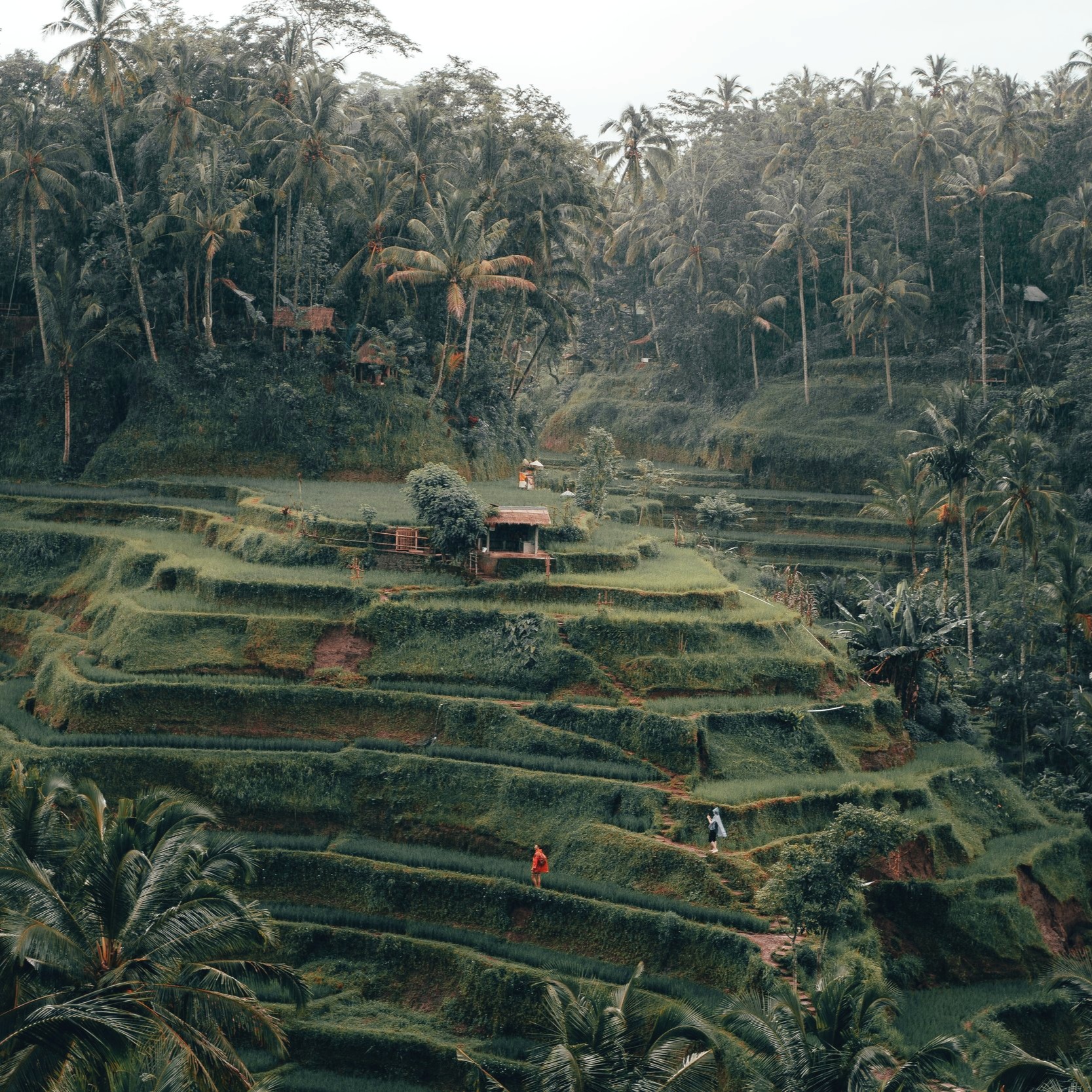 radoslav-bali-1567337-unsplash.jpg