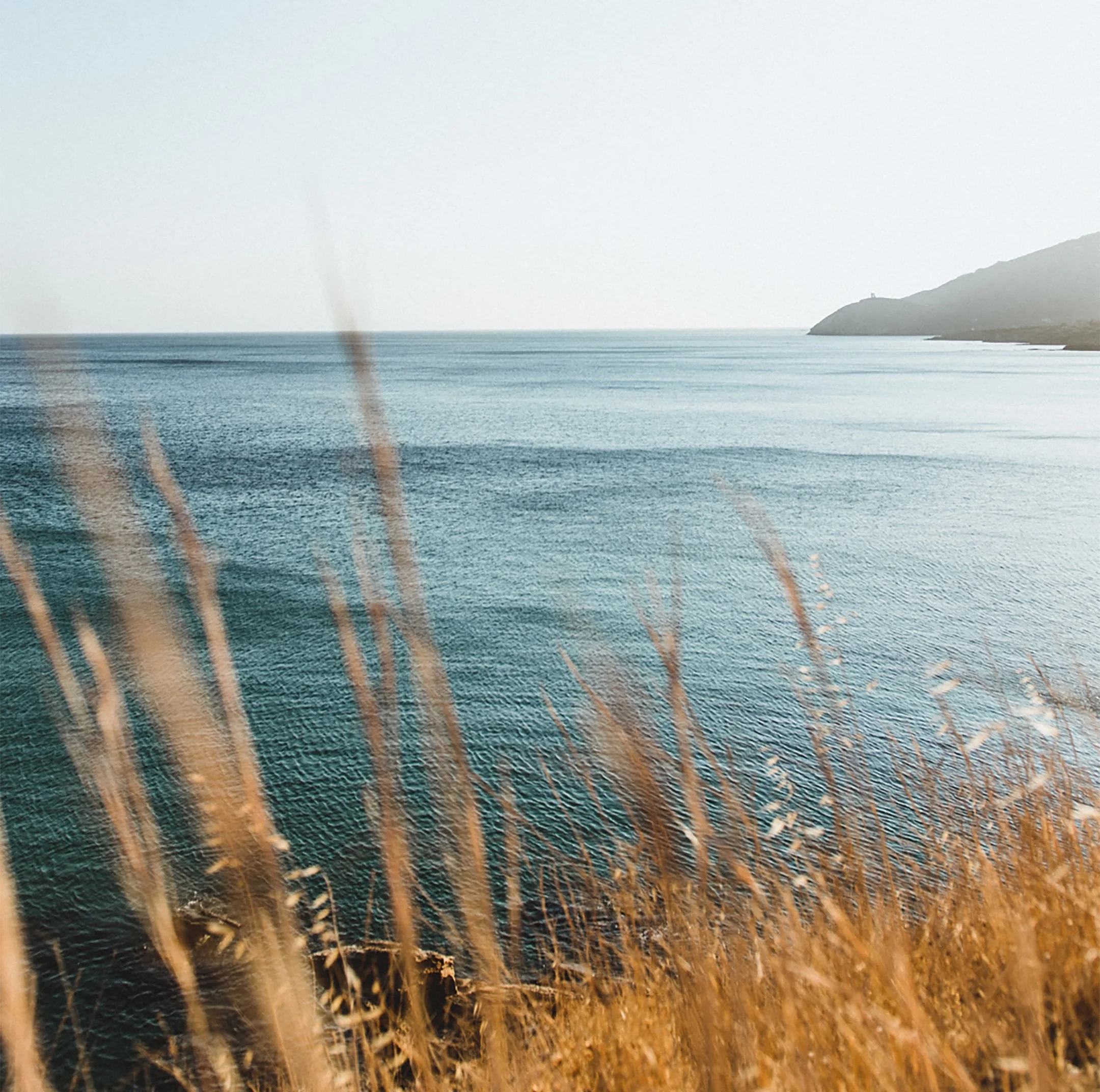 constantine-stamatis-U00bO4g6PkM-unsplash.jpg