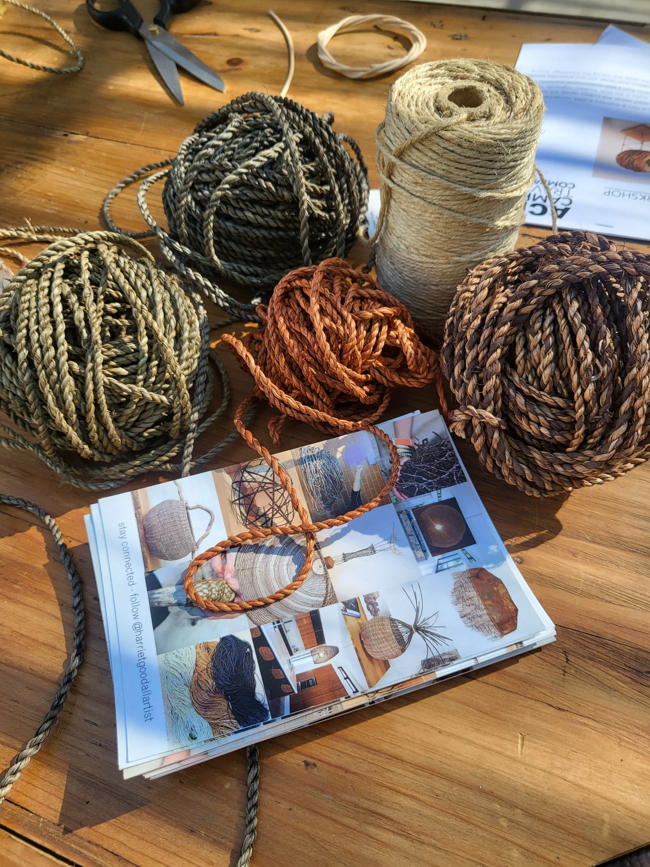 55127324789_bf0c1c6eb4_o (1).jpg