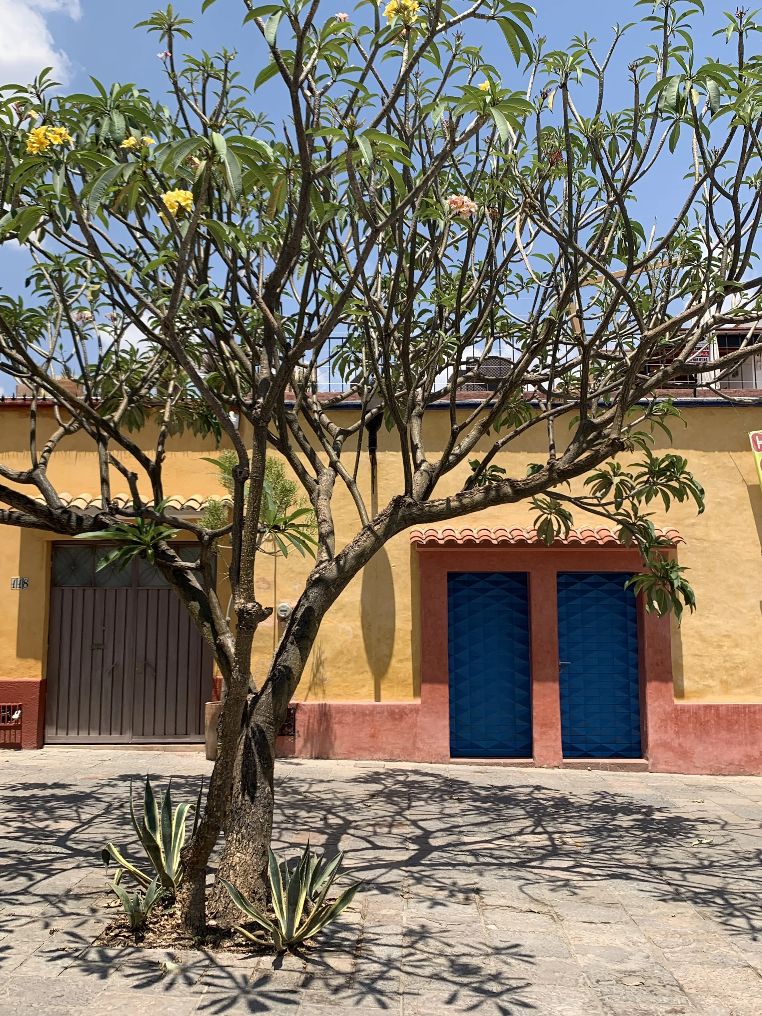 Oaxaca, Mexico | Traditional Crafts