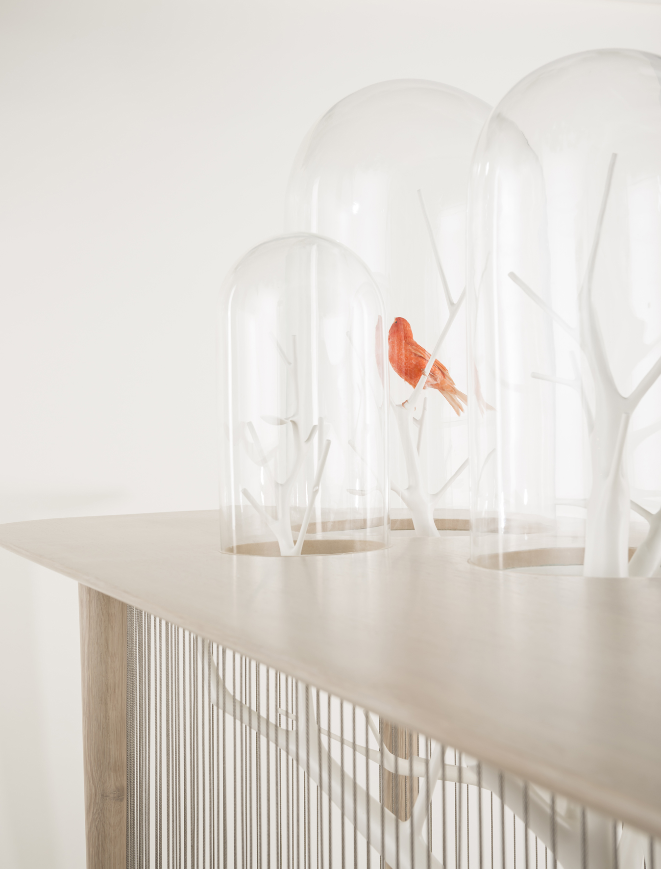 grégoire de lafforest - archibird 04.jpg