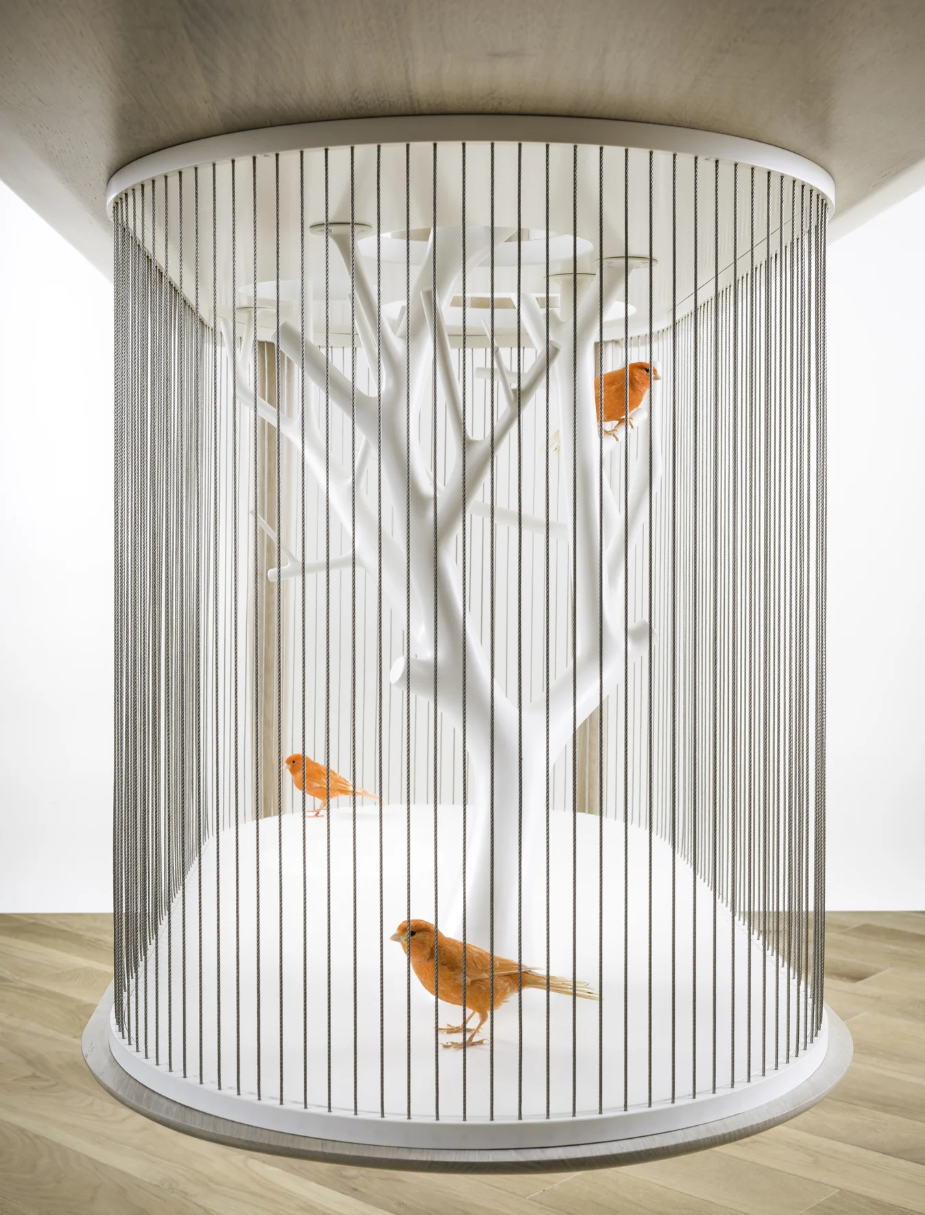 grégoire de lafforest - archibird 03.jpg