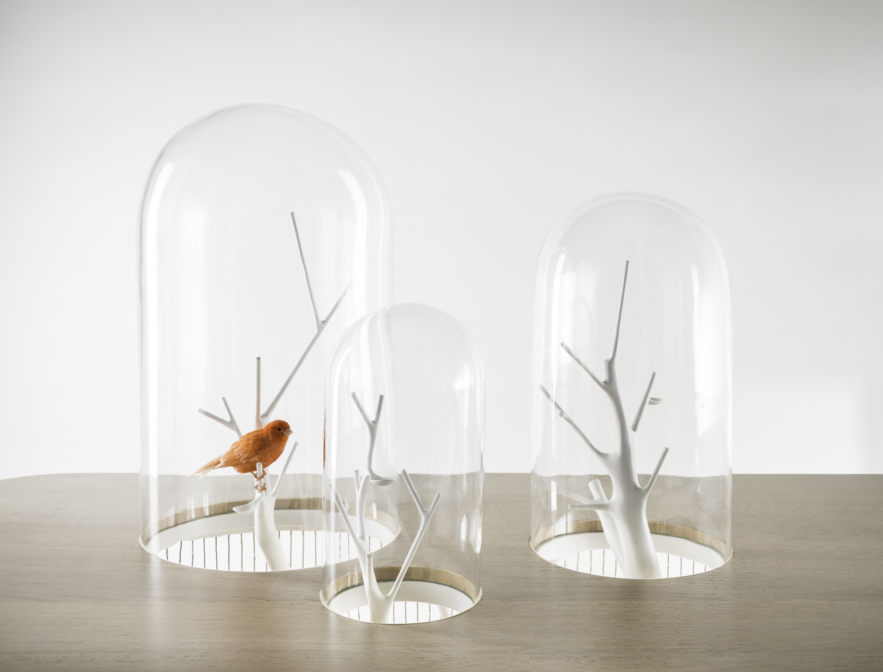 grégoire de lafforest - archibird 05.jpg