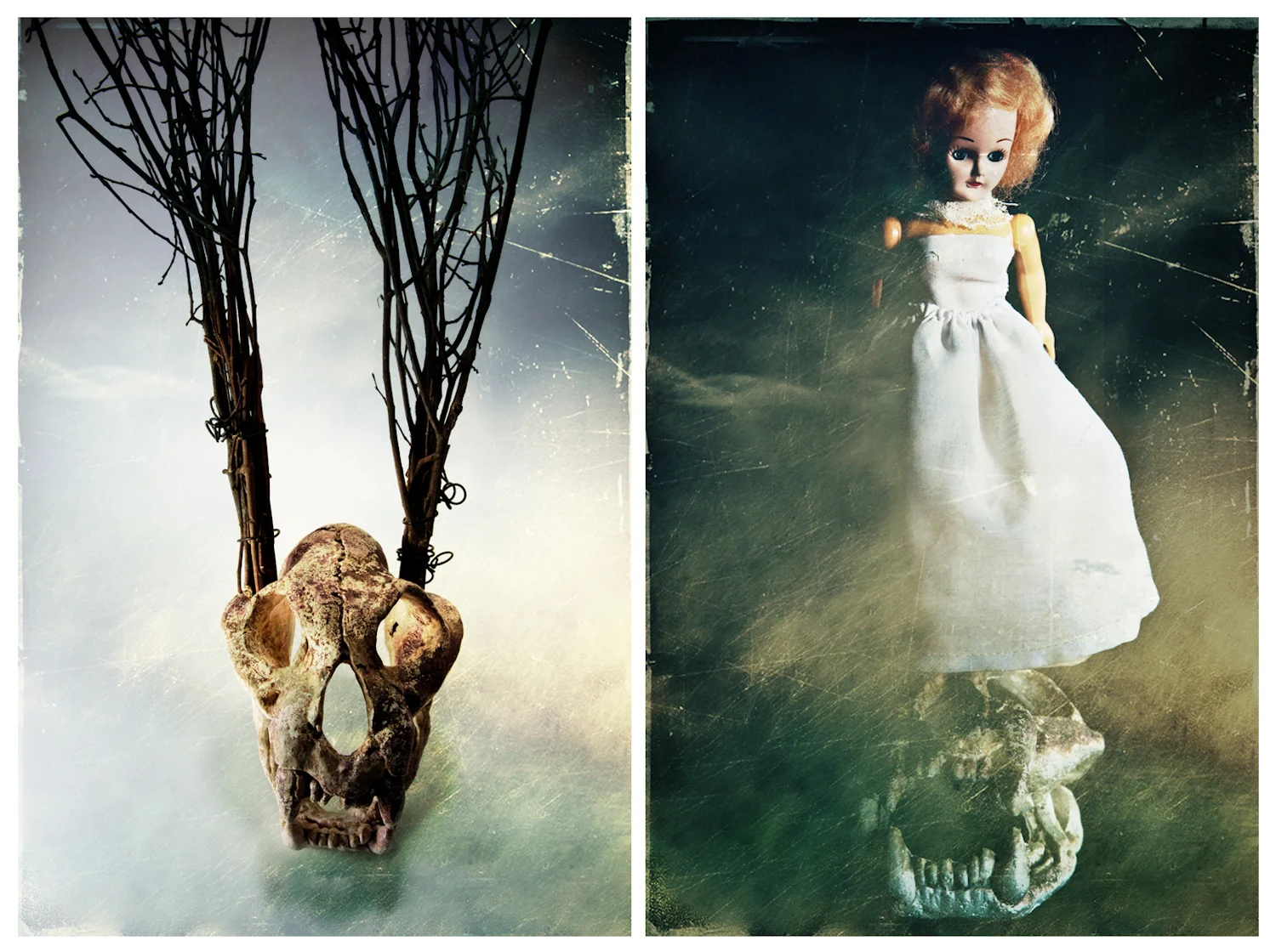 "​Darkness at Noon"&nbsp; - Merit Award winner