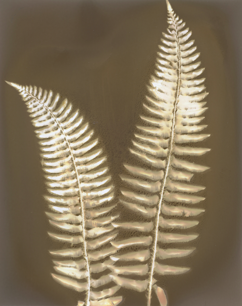 lumen002.jpg
