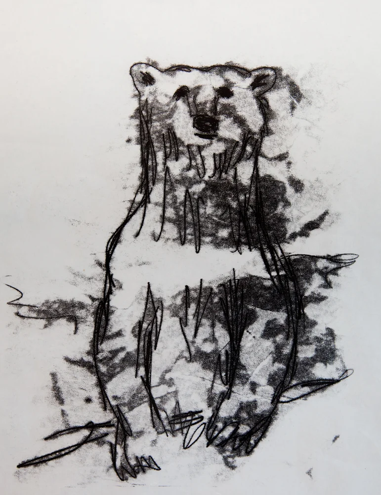  Trace monotype. Akua ink on mulberry paper. 