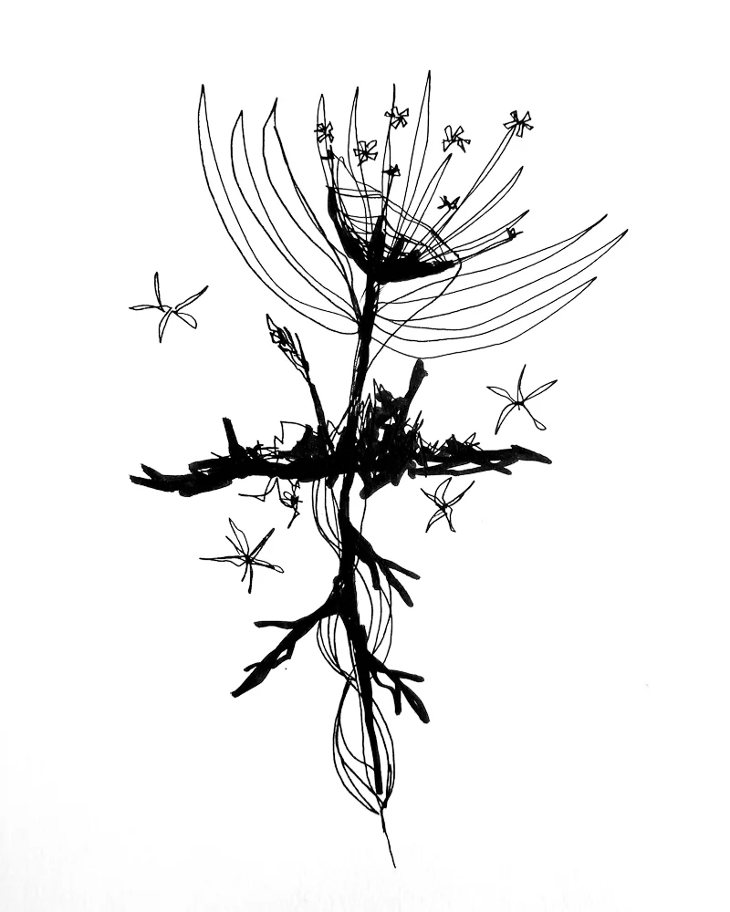 5 - Metamorphosis 2.jpg