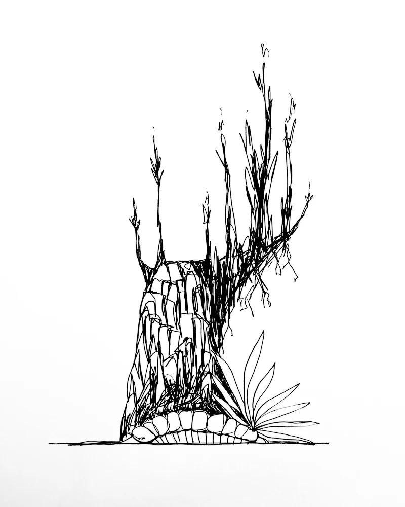 5- Metamorphosis.jpg