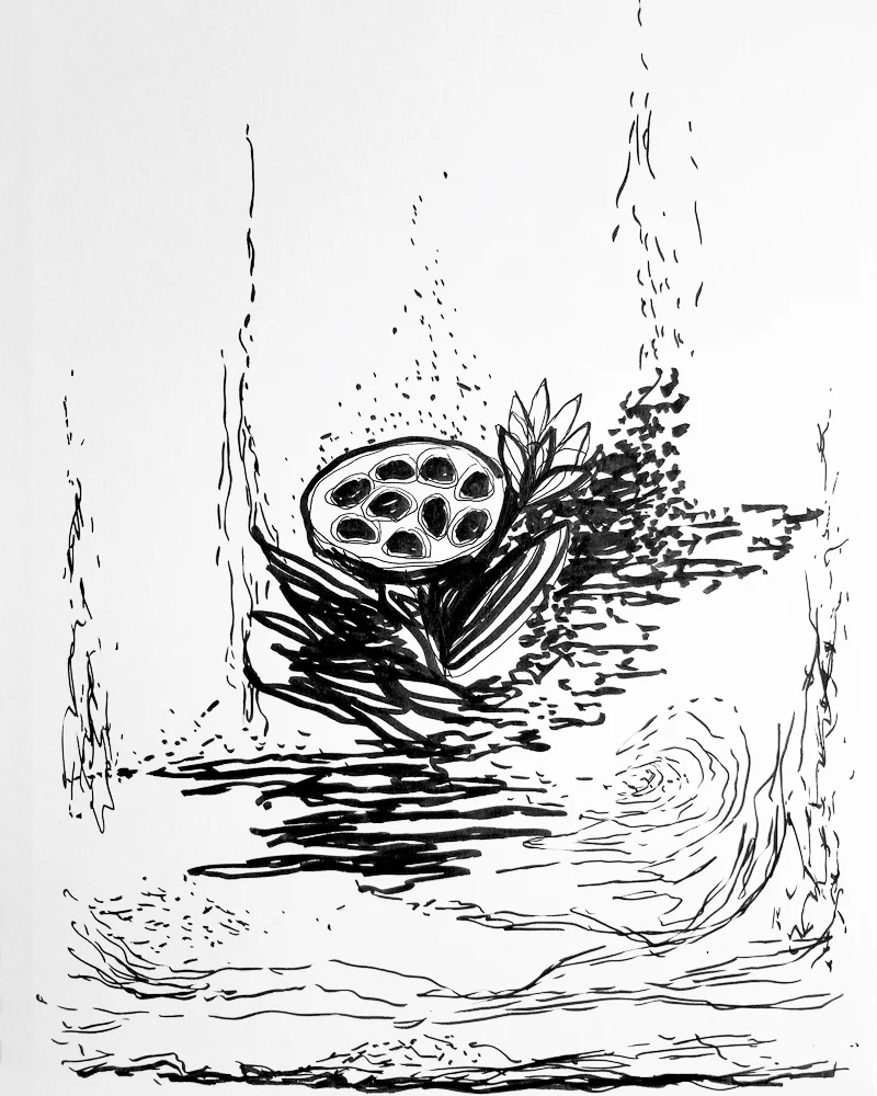 6 - Metamorphosis 2.jpg