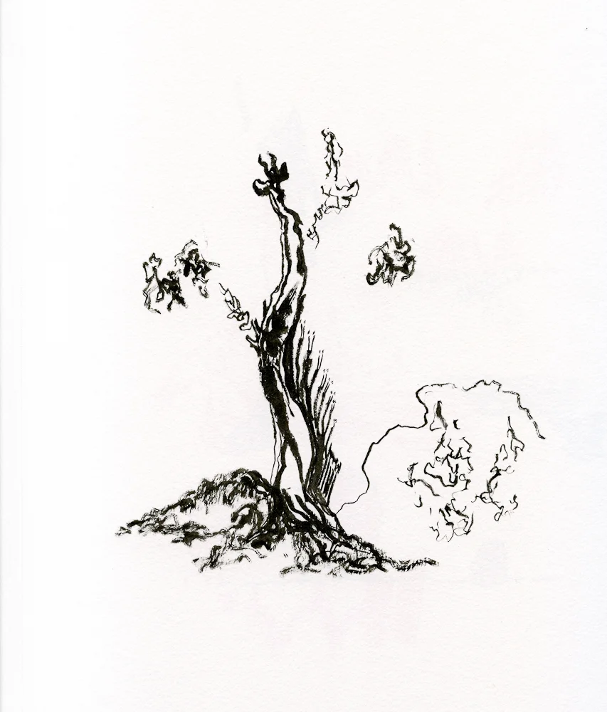 draw007.jpg