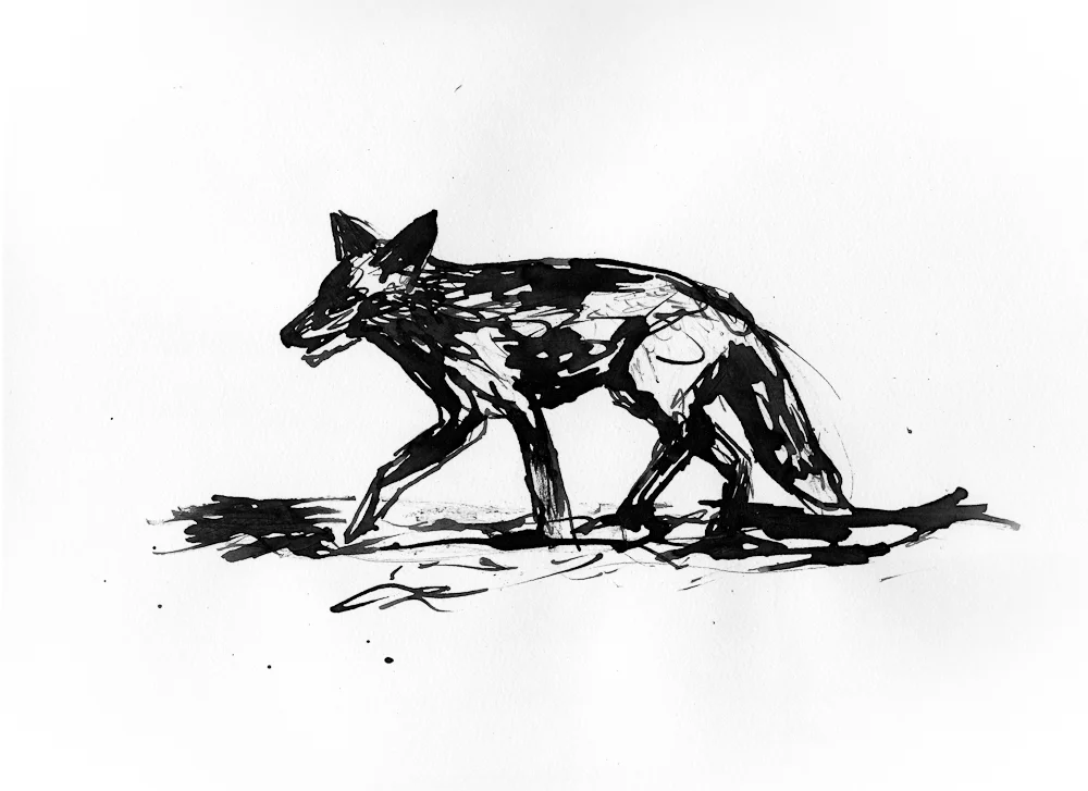 draw004.jpg