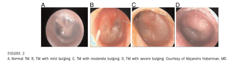 Screen Shot 2014-10-17 at 2.50.27 PM.png