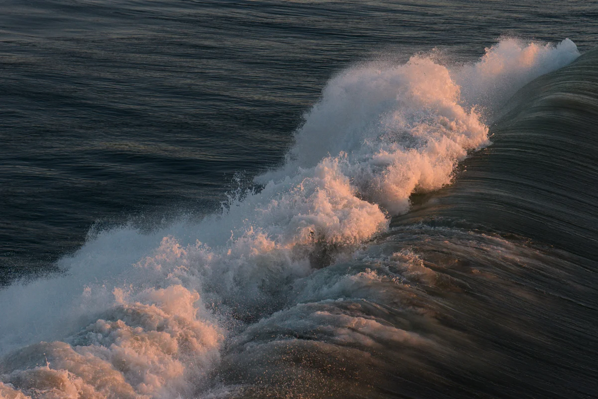 DSC_6600.jpg