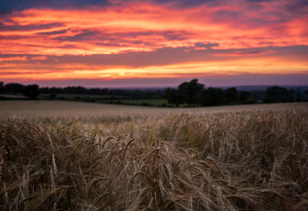 This is a photo by Jamie Street on Unsplash.com that I think really speaks to all the beauty we have in our world that doesn't always get the attention it deserves.