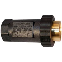Wilkins Model 705 - Dual Check Backflow Preventer