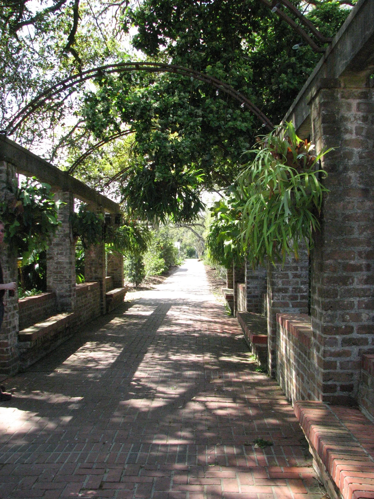 Botanical Gardens 6.JPG