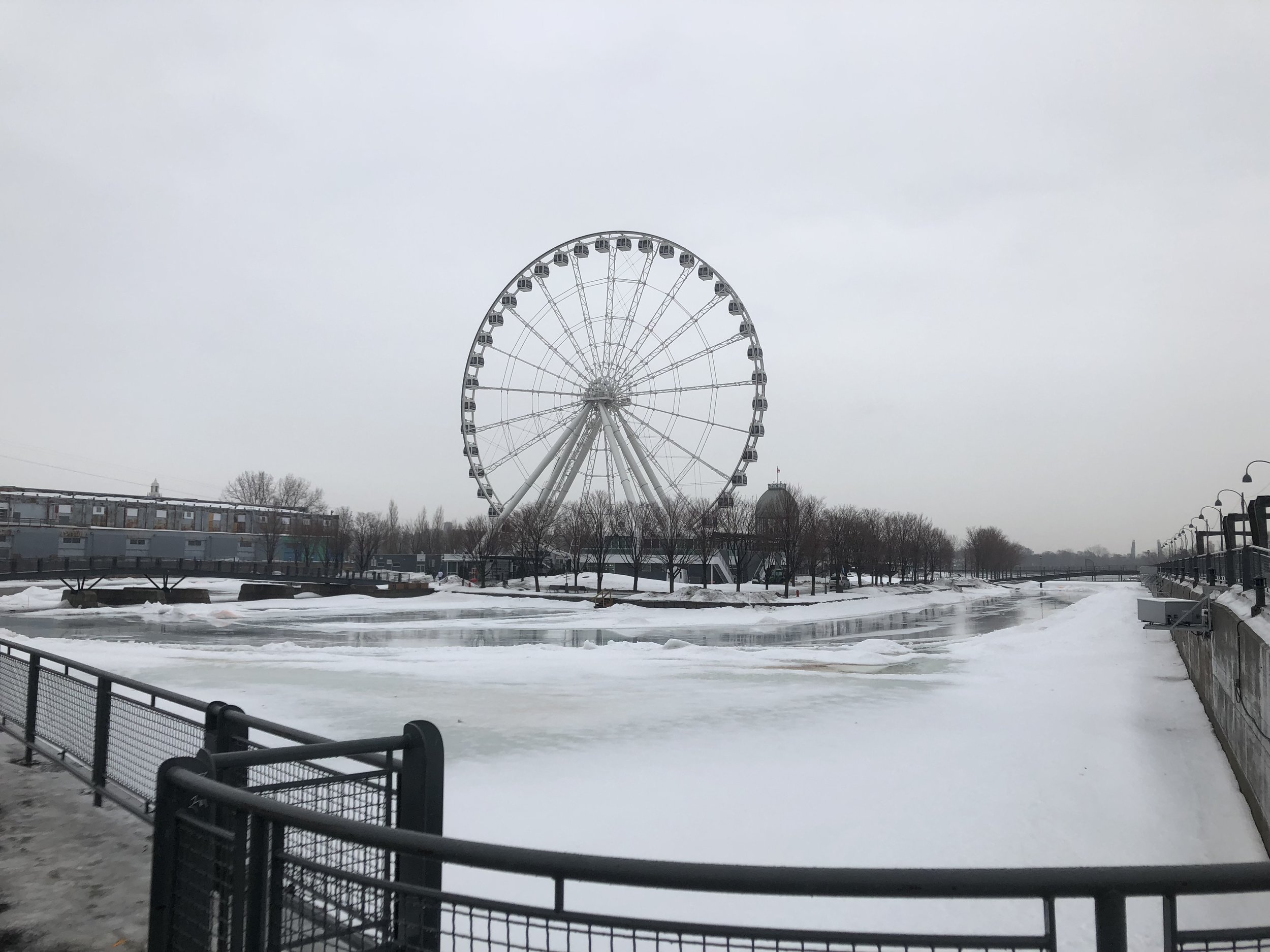 2018-02-21 10.35.37.jpg
