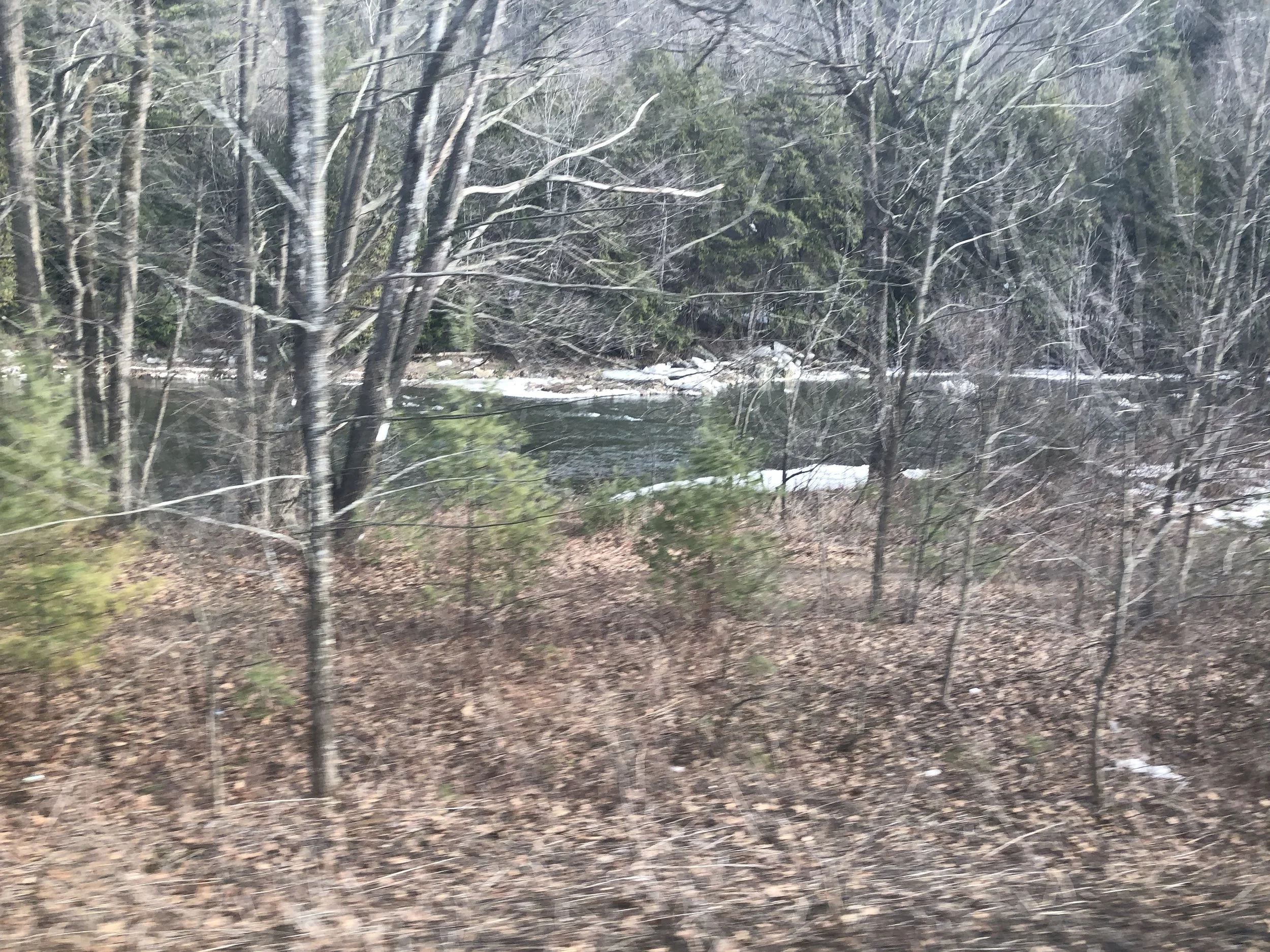 2018-02-24 14.20.21.jpg